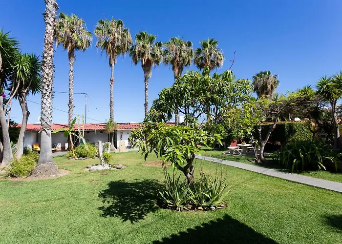 La Gaviota - El Marmol *