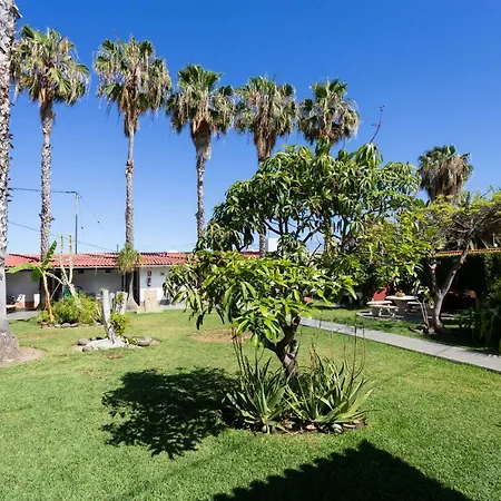 La Gaviota - El Marmol *